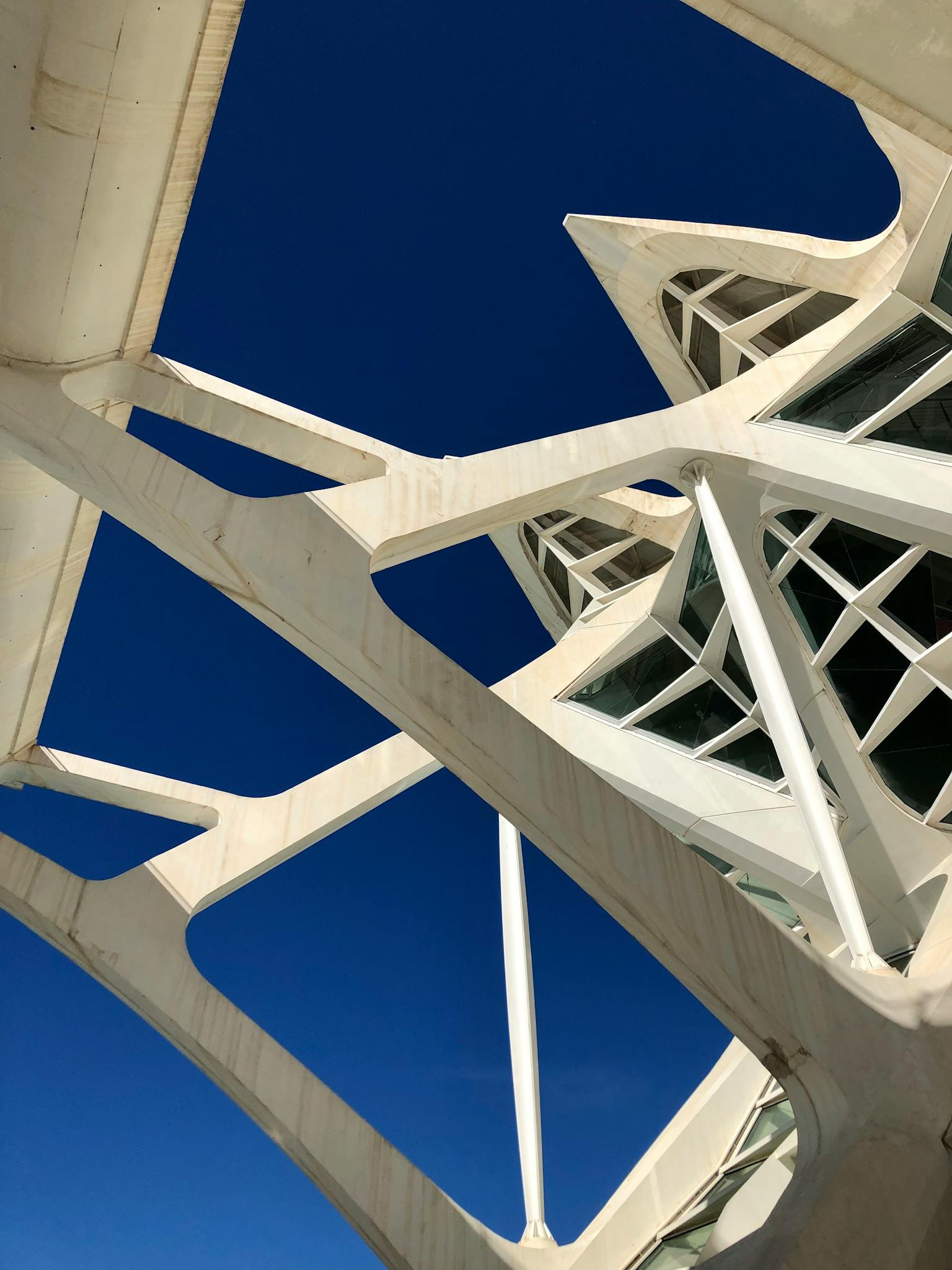 Low angle view of modern architecture in Valencia, Spain with striking geometric forms.